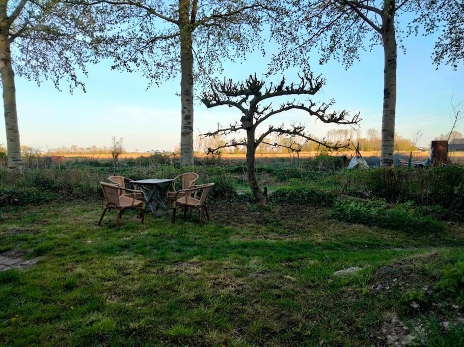 Вілла Vogelvrij Vierhuizen Екстер'єр фото